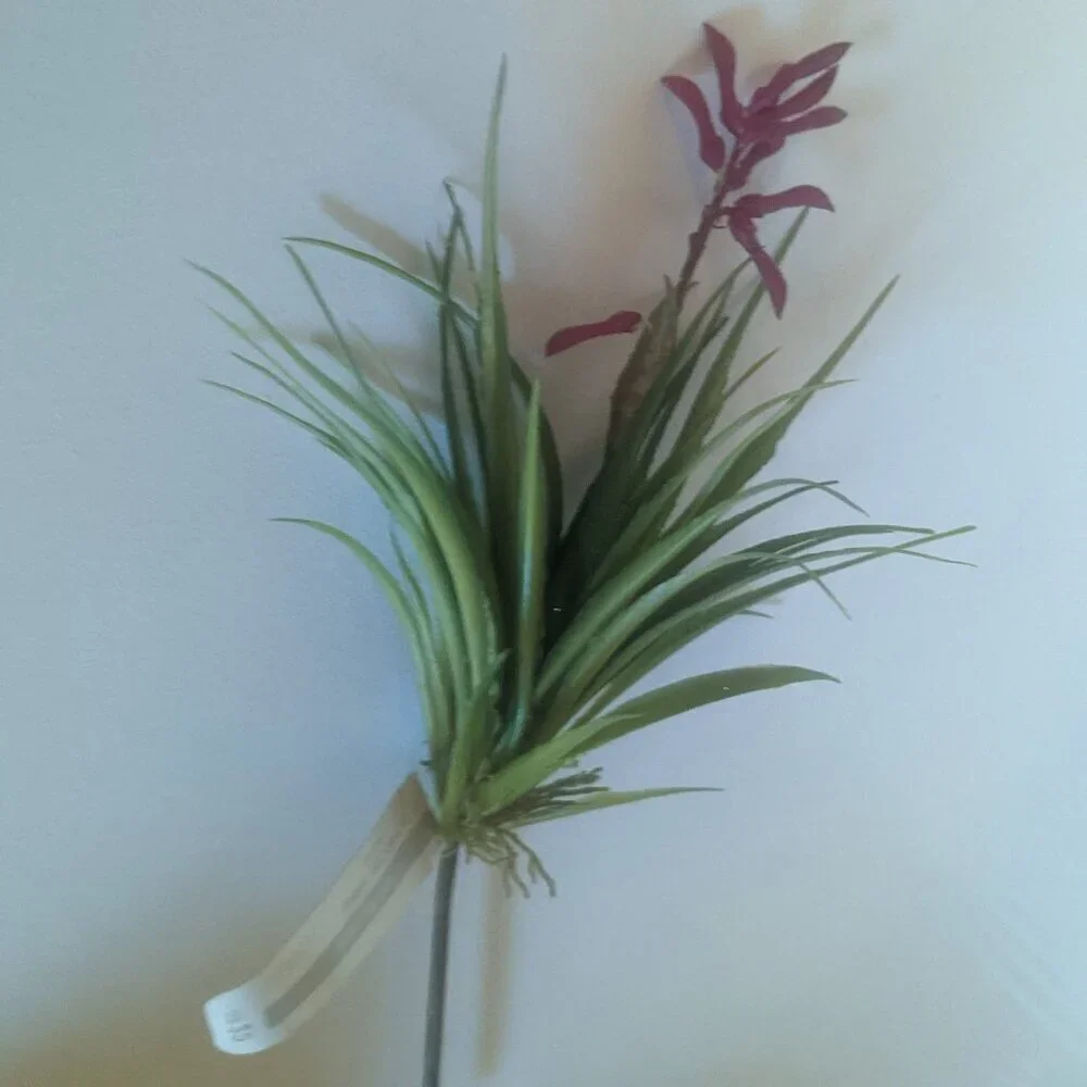NWT Ashland 2 Spiky Tropical Round Succulent Stems Faux Floral Decor Michael's